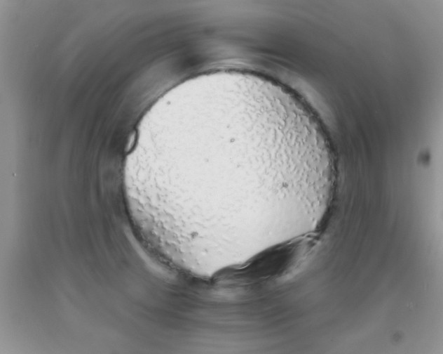 X0000091341233200709071211