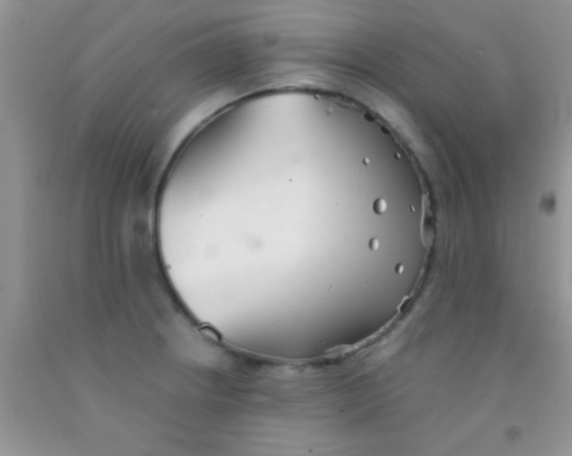 X0000091341234200709071211