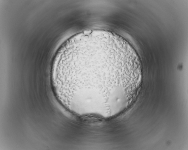 X0000091341235200709071211