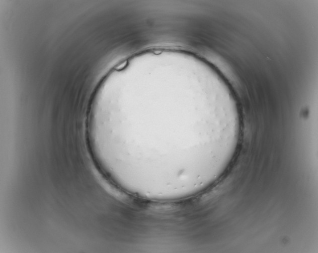 X0000091341237200709071211