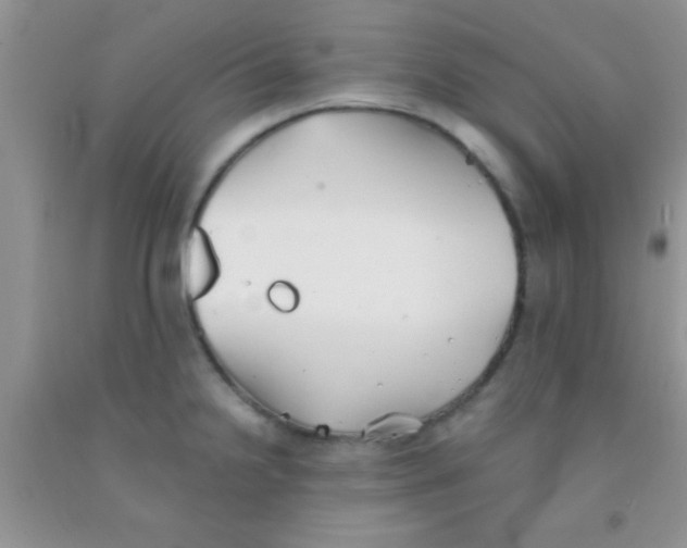 X0000091341238200709071211