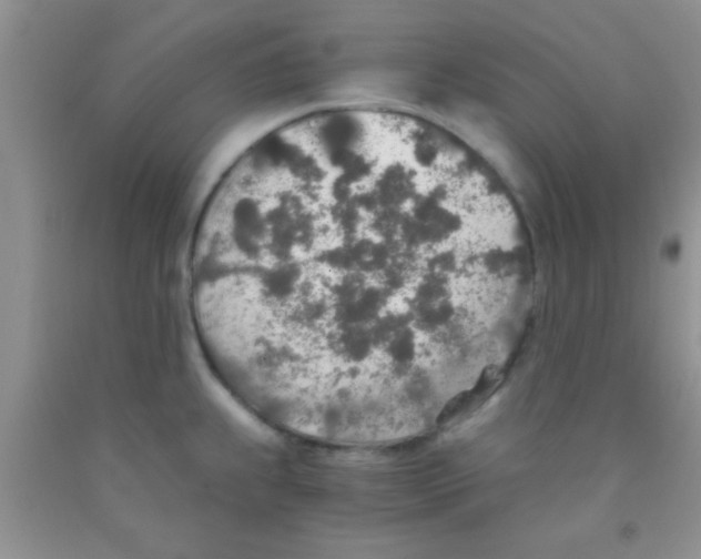 X0000091341239200709071212