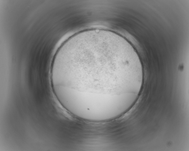 X0000091341240200709071212