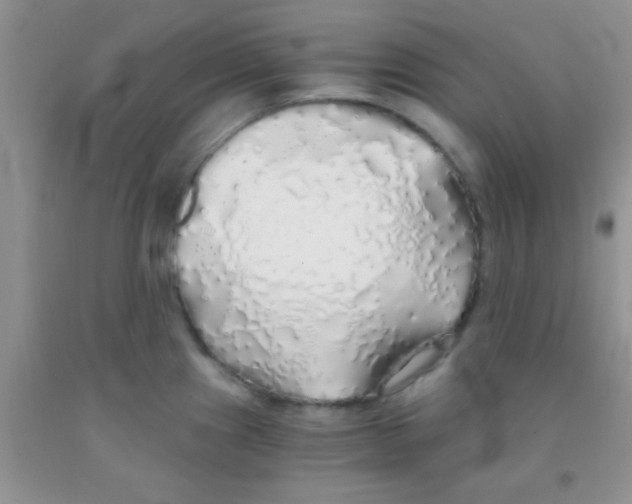 X0000091341241200709071212