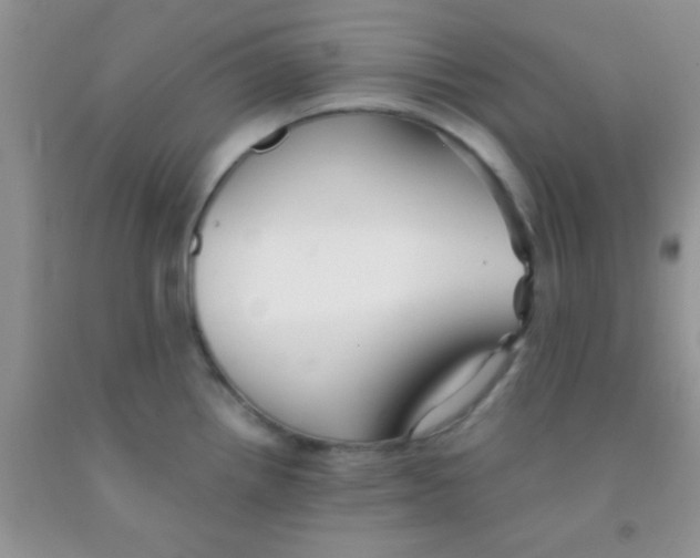 X0000091341242200709071212