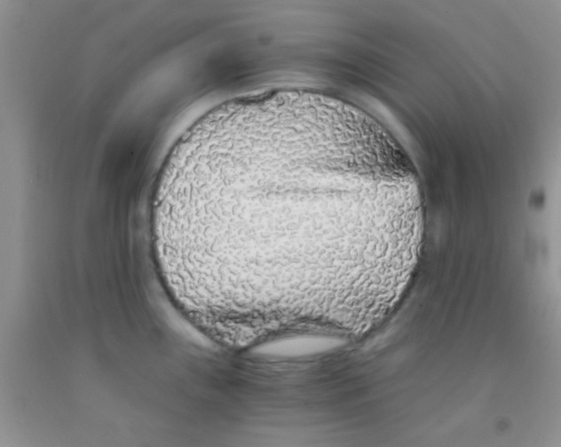 X0000091341243200709071212