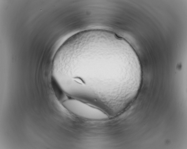 X0000091341244200709071212