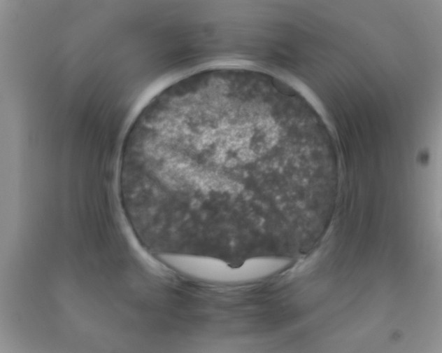 X0000091341245200709071212