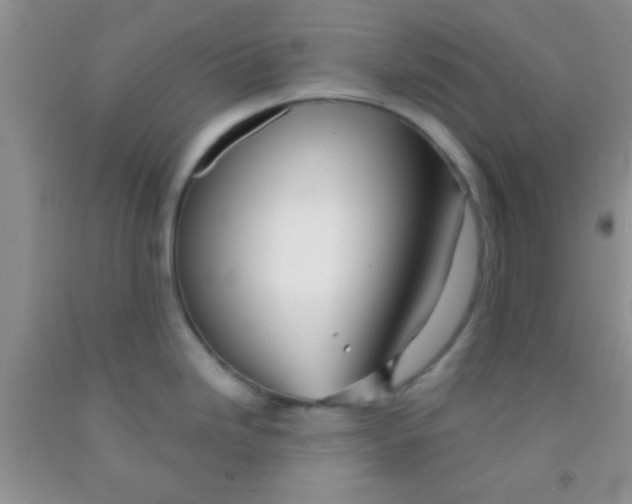 X0000091341246200709071212