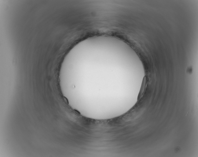 X0000091341249200709071211