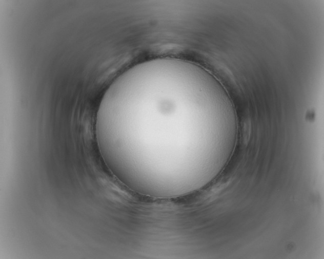 X0000091341250200709071211