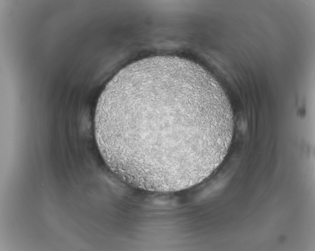 X0000091341252200709071211