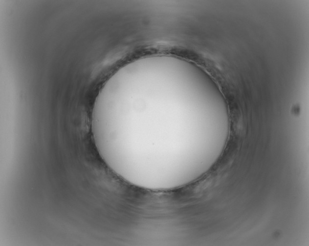 X0000091341253200709071211