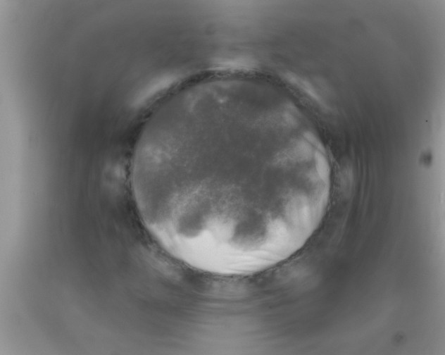 X0000091341254200709071211