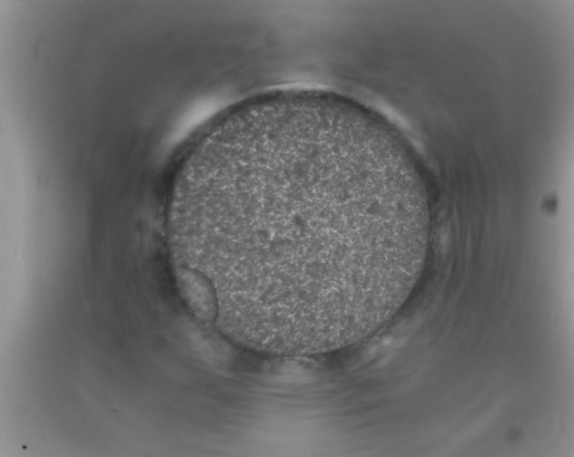 X0000091341255200709071211