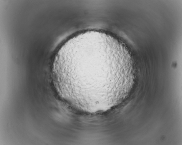 X0000091341256200709071211