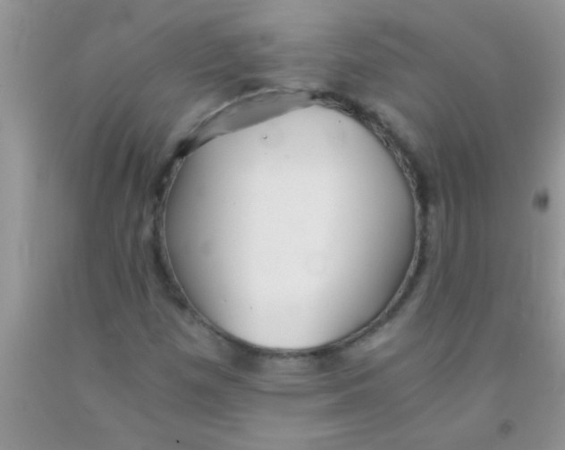 X0000091341257200709071211