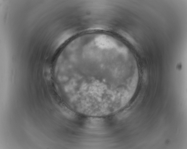 X0000091341258200709071211