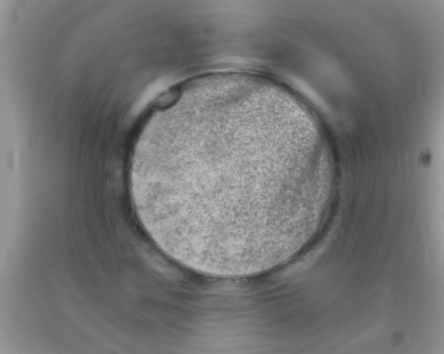 X0000091341259200709071211