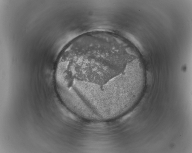 X0000091341260200709071211