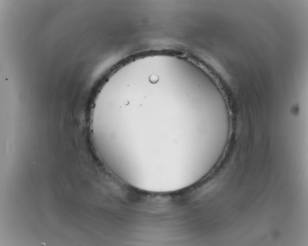 X0000091341261200709071211