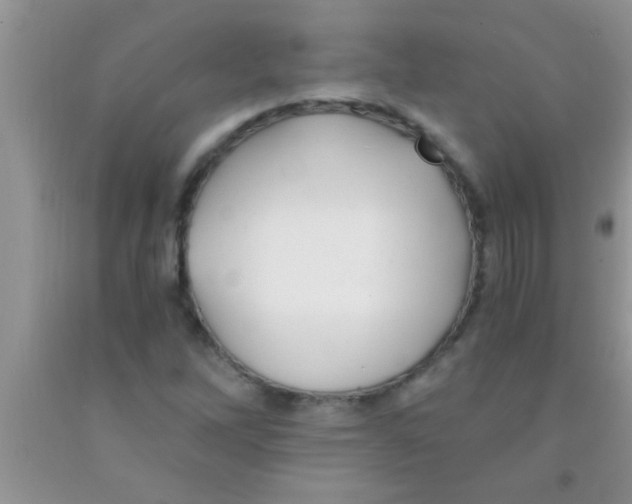 X0000091341262200709071211