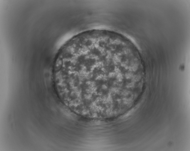 X0000091341263200709071211