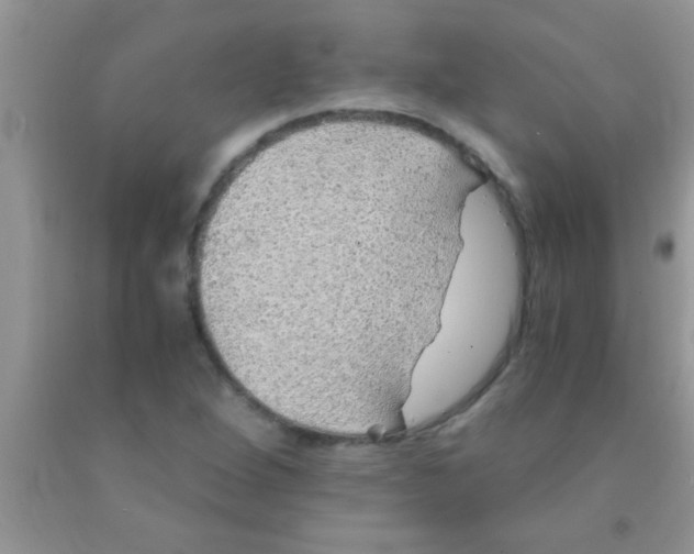 X0000091341264200709071211