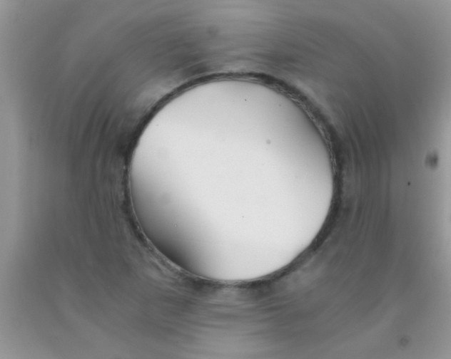 X0000091341265200709071211