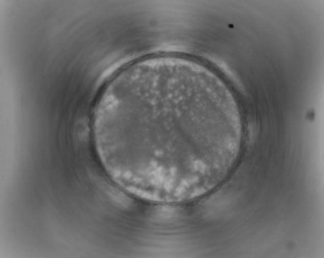 X0000091341266200709071211