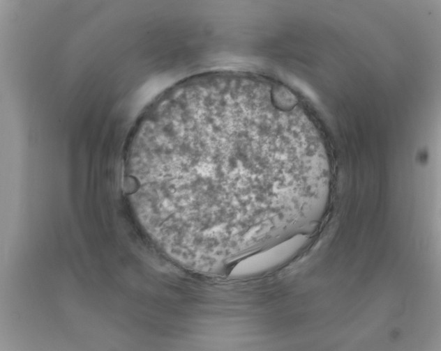 X0000091341267200709071211