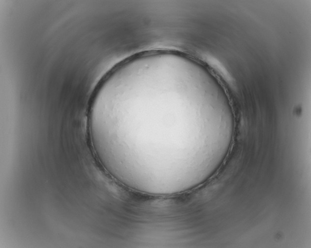 X0000091341268200709071211