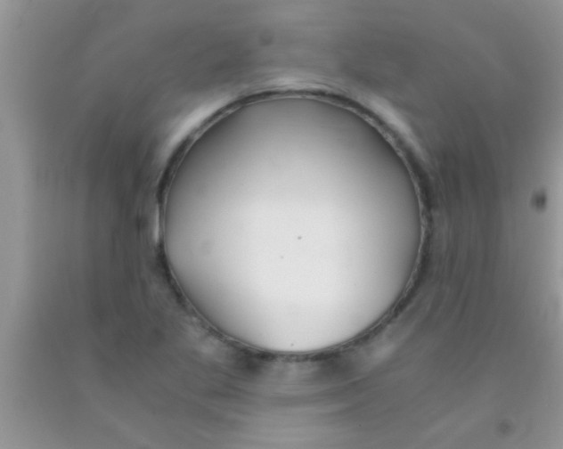 X0000091341269200709071211