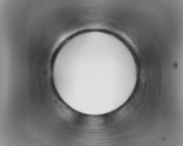 X0000091341270200709071211