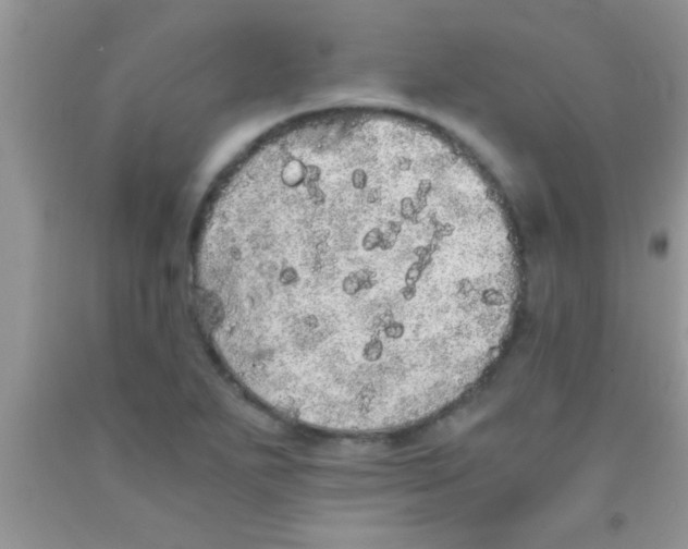 X0000091341271200709071211