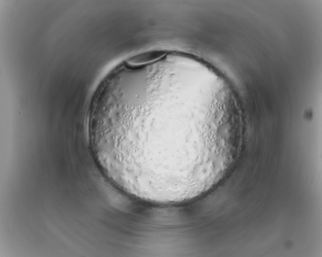 X0000091341272200709071211