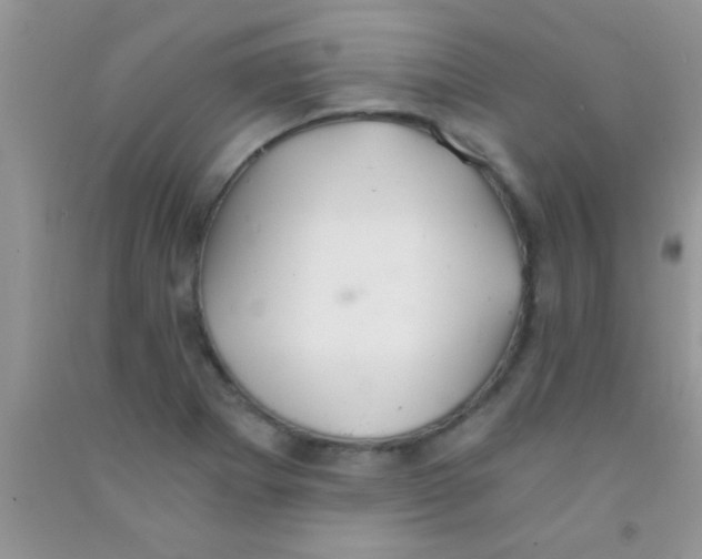 X0000091341273200709071211