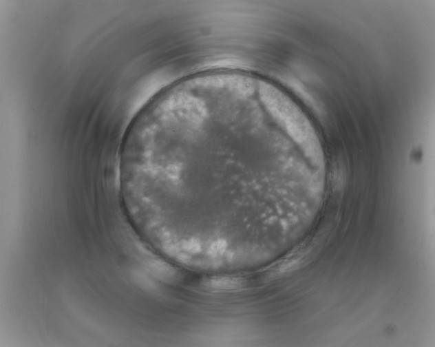 X0000091341274200709071211