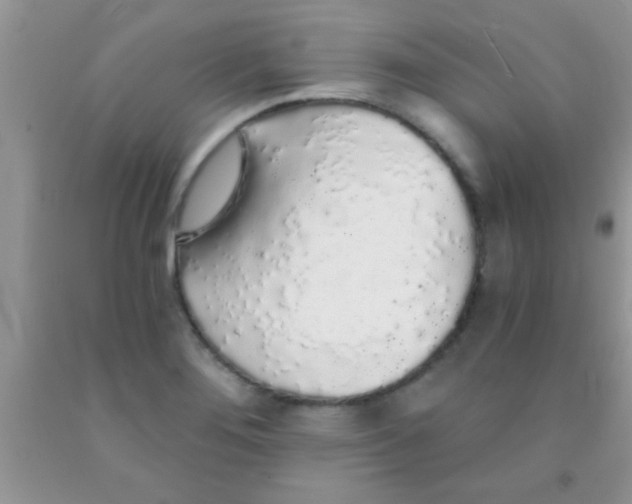 X0000091341276200709071211