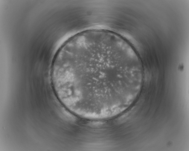 X0000091341278200709071211