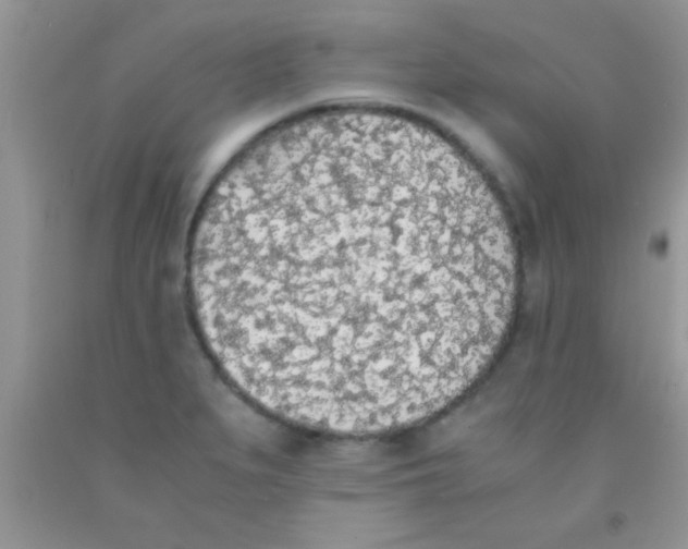 X0000091341279200709071211