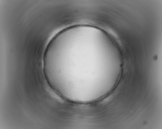 X0000091341280200709071211