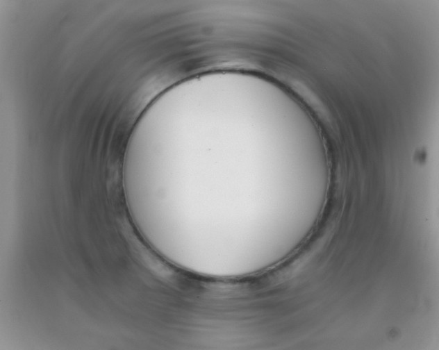 X0000091341281200709071211