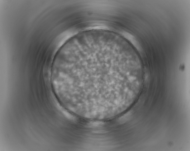 X0000091341282200709071211