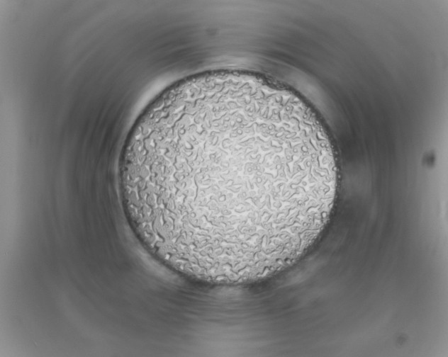 X0000091341283200709071211