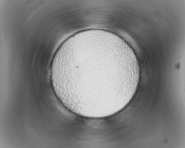 X0000091341284200709071211