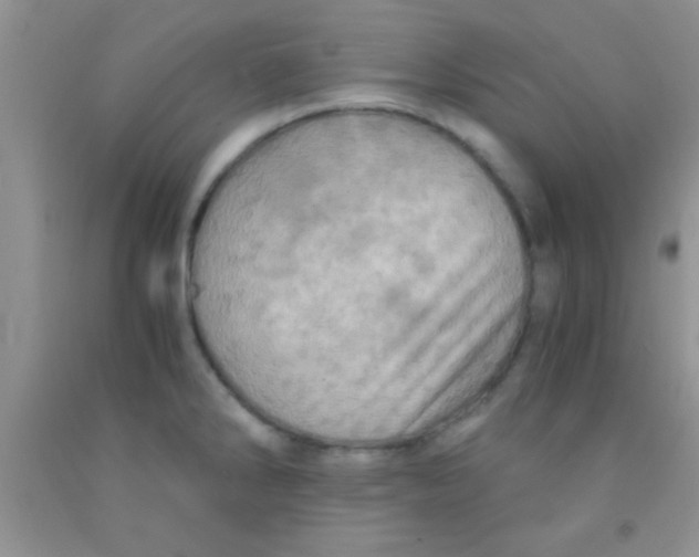 X0000091341286200709071211