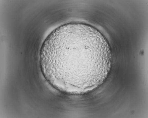 X0000091341287200709071211