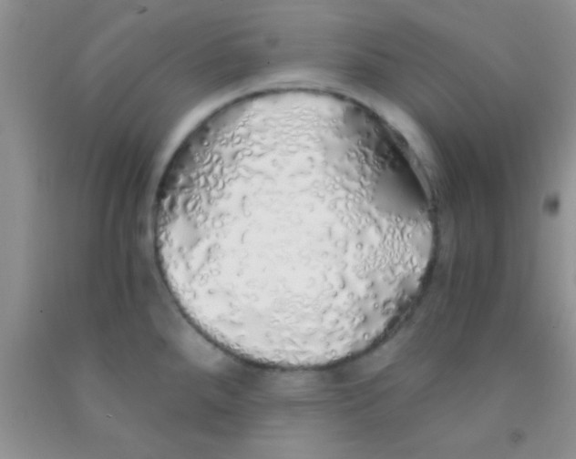 X0000091341288200709071211