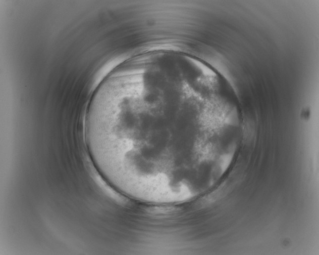 X0000091341290200709071211